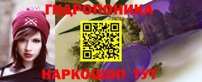 трава Камышлов
