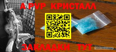 ALPHA PVP Канаш
