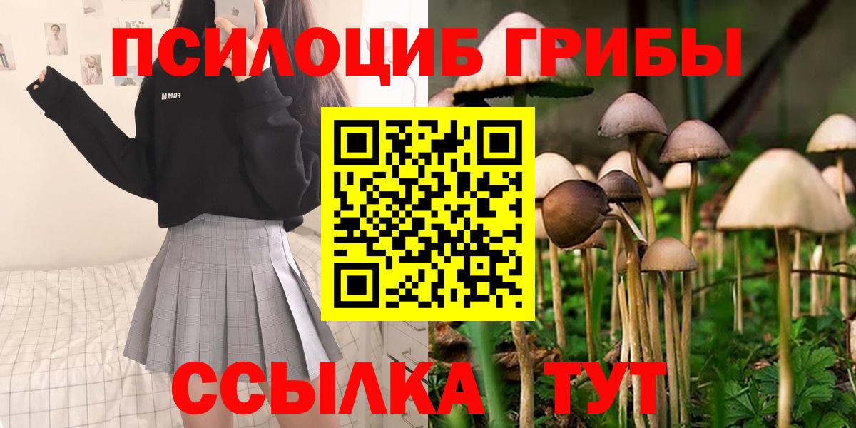 Галлюциногенные грибы мухоморы Кулебаки