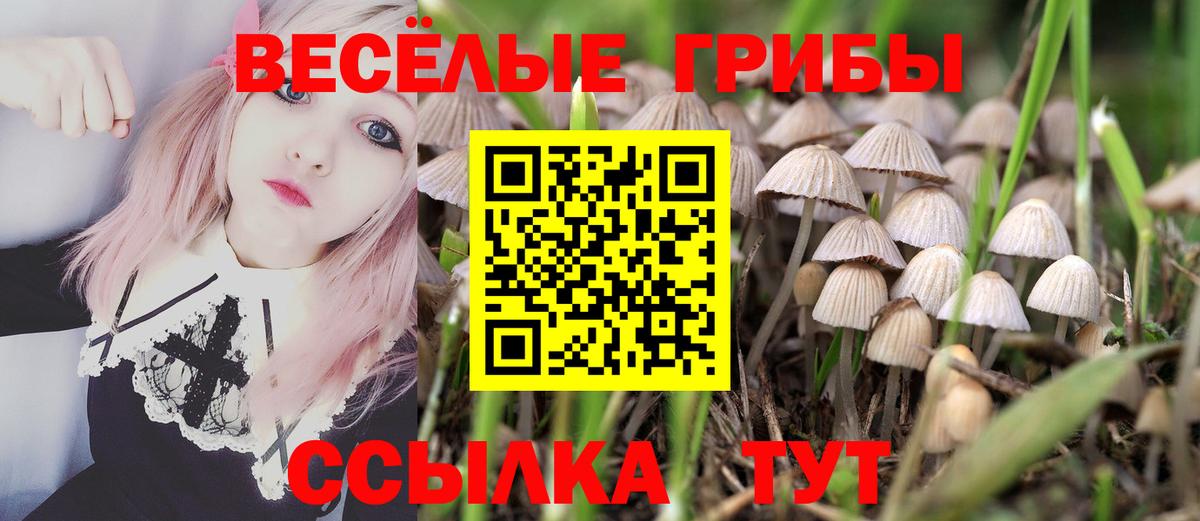 Кулебаки  Галлюциногенные грибы Psilocybe  Вход с VPN 